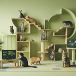 Chats interactifs dans un environnement adapté avec des accessoires de bien-être